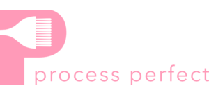 Process Perfect Logo